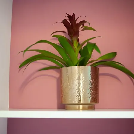 San Liborio ベッド・アンド・ブレックファスト